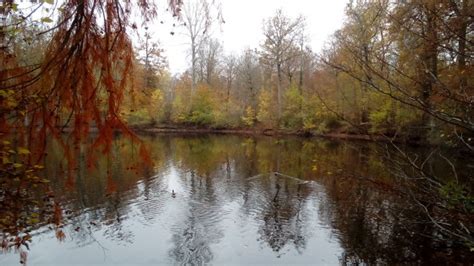 mare aux evées.